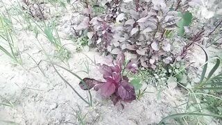 On a rainy night, the elder stepbrother gave sex Bangla hot choti golpo