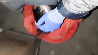 Before robbing someone else's house, we decided to have sex - Lesbian-illusion - 11 image