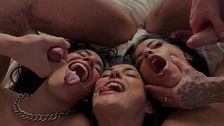 The Bud Brothers couldn't let them stay at the hotel any longer, but they reached an agreement - 1 image