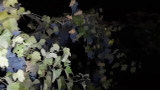 I brought a stranger schoolgirl from the club to my house to fuck - Lesbian-candys - 2 image