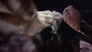 Inside Jennifer Welles (1977) - 3 image