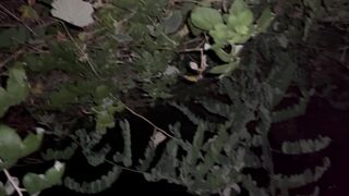 After I pissed, my slave girl immediately performed cunnilingus - 2 image