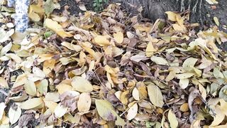 I seduced the forester's girlfriend and we fucked in her hut - Lesbian-candys