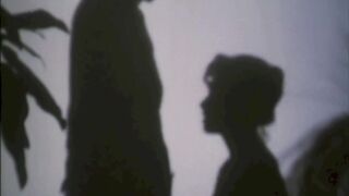 A Collection of Vintage Fucks - 11 image