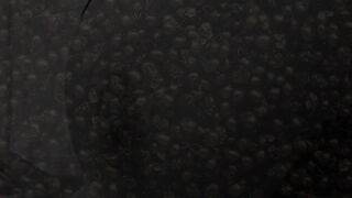 Brisen & Sabien DeMonia dominate obedient Toy Girl with their big tits and curvy bodies - 1 image