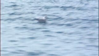 Lesben nackt am Strand - 4 image